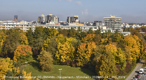 15.10.2025 - goldener Oktober mit Blick auf das Marx-Zentrum und Wohnanlage am Karl-Marx-Ring 52-62
